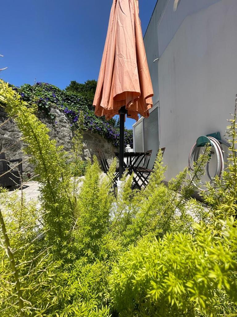 Burgães Apartment Porto Exterior foto